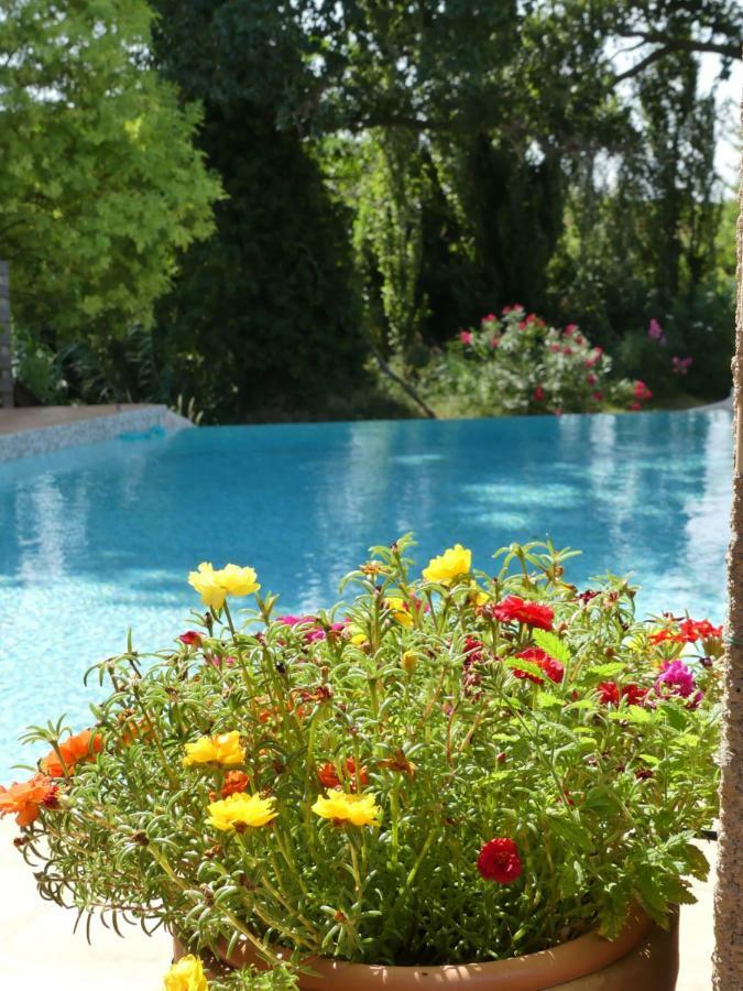Villa Aigues Vives Boutenac Extérieur photo